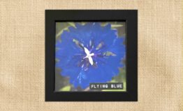 Flying blue (10x10cm)_jute